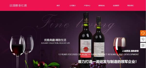重庆企业网站建设下载网站的初步发展 第1张