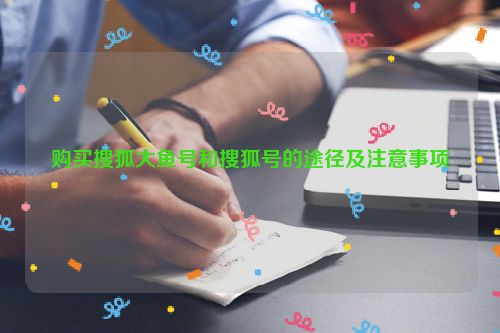 购买搜狐大鱼号和搜狐号的途径及注意事项 第1张