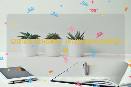 自媒体账号价格解析：探讨影响账号价值的因素 第1张